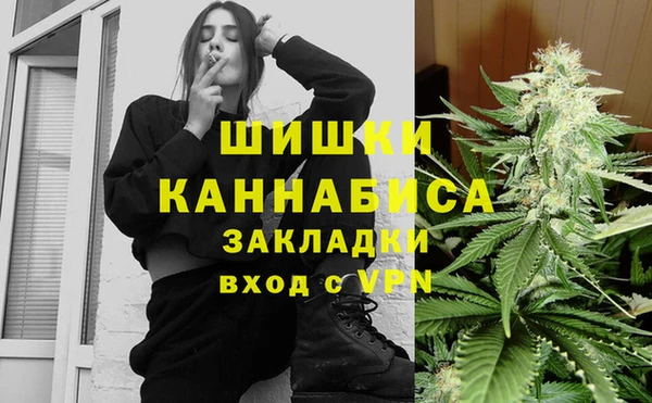 apvp Новозыбков